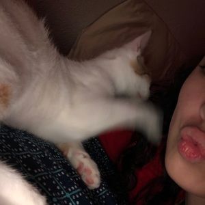 Meet your Posher, Isabella